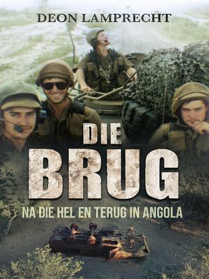 cover image of Die Brug